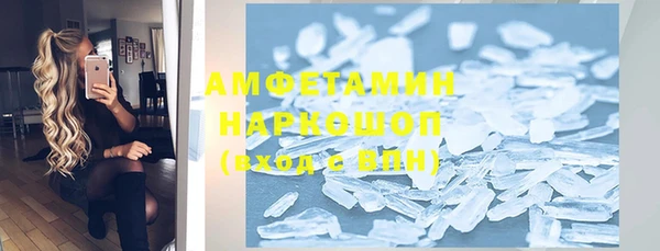шишки Абаза