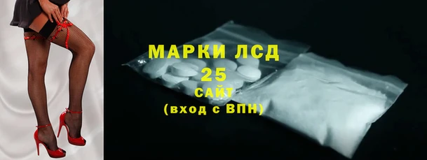 шишки Абаза