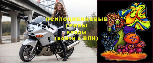 шишки Абаза