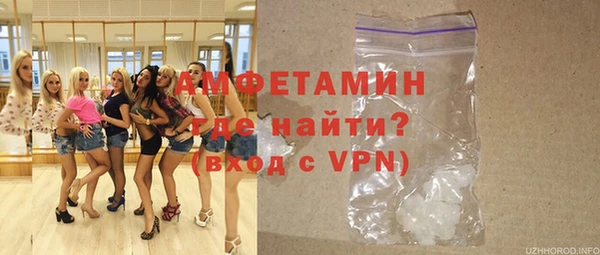 шишки Абаза