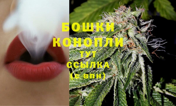 шишки Абаза