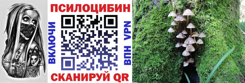 Псилоцибиновые грибы Magic Shrooms  где купить наркотик  Горячеводский 